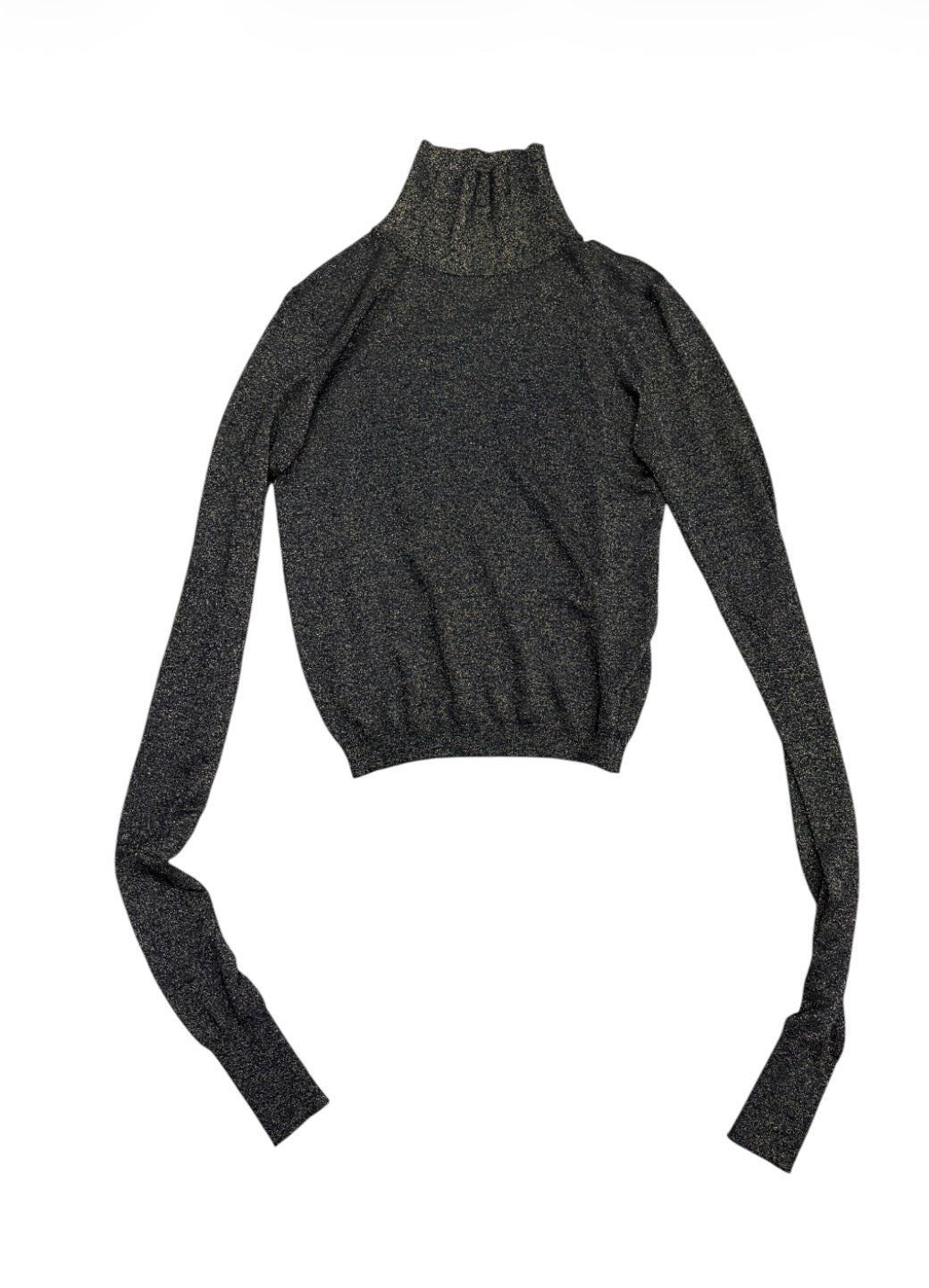 Metallic turtleneck full view