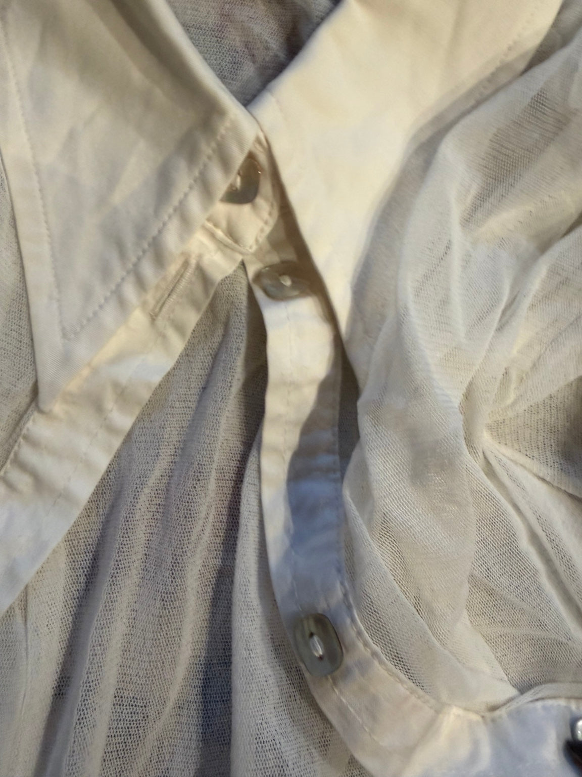 Murielle de Mariella Burani Sheer Mesh Shirt