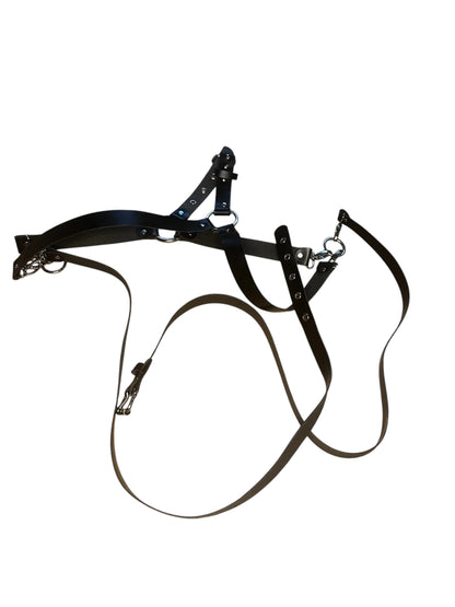 Harness #7654