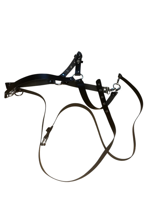 Harness #7654