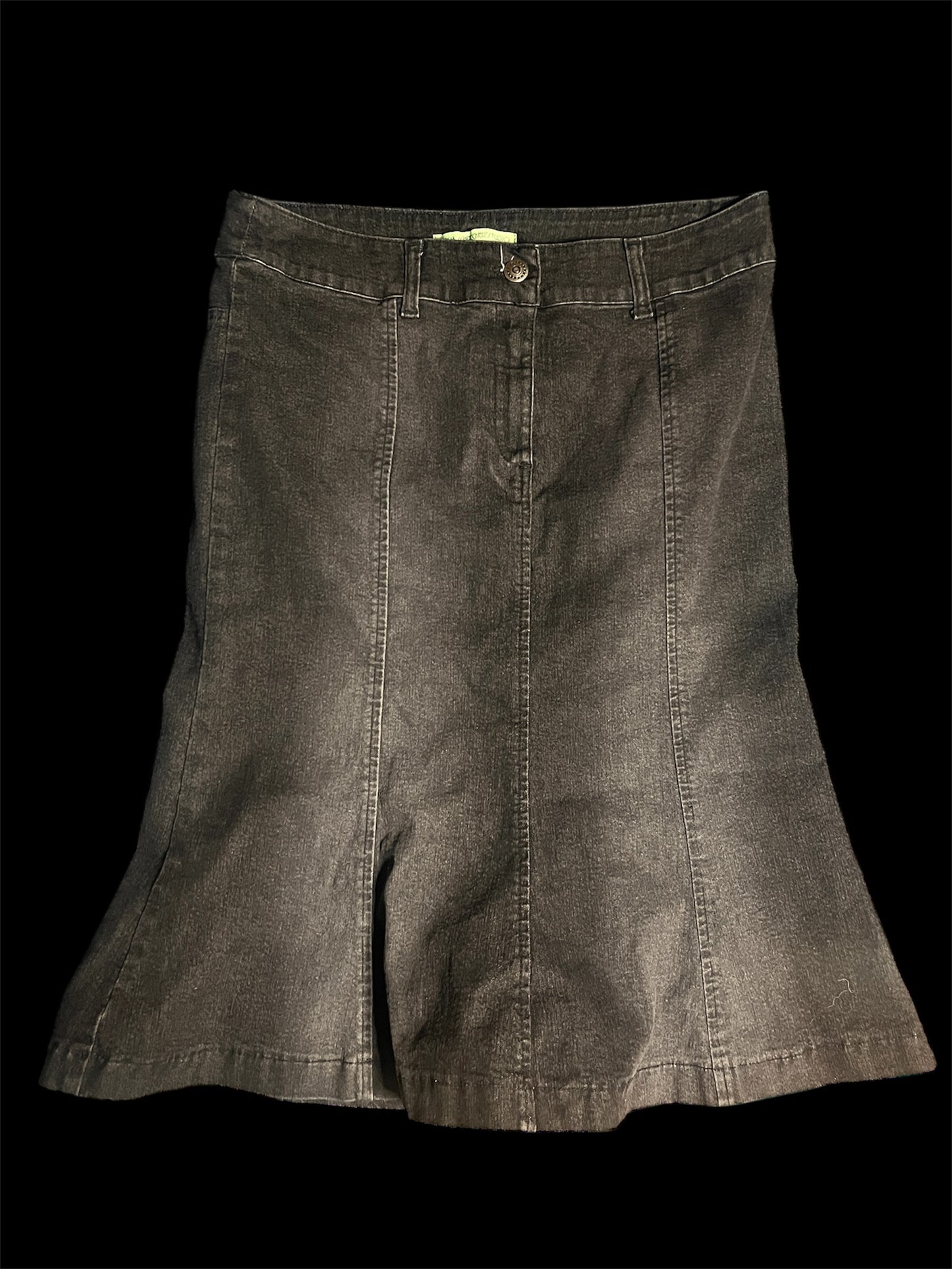 Regina Schrecker Italian Mermaid Denim Skirt #11247